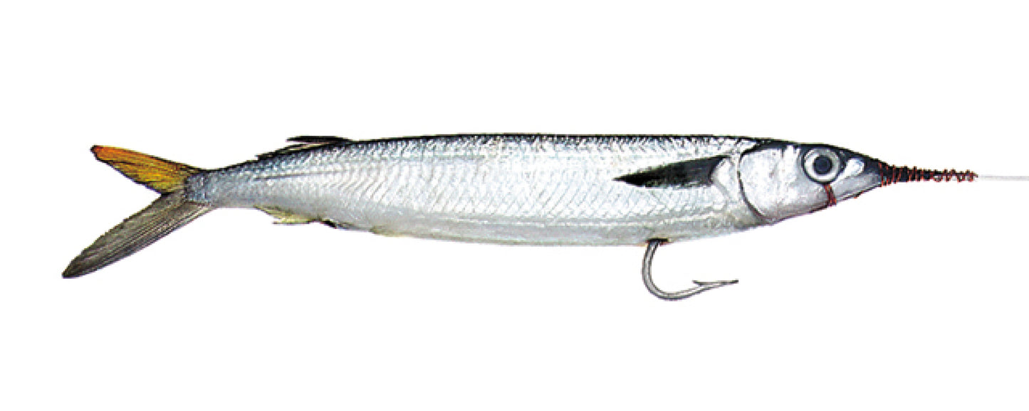 Mahi (S) J-Hook Ballyhoo 12pk